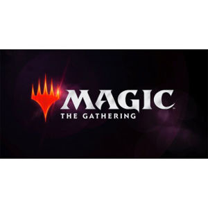 Immagine di MTG - Modern Horizons 2 Collector's booster Display (12 Packs) - IT