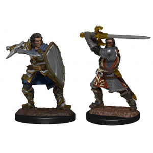 Immagine di D&D Nolzur's Marvelous Miniatures: Human Paladin Male (2)