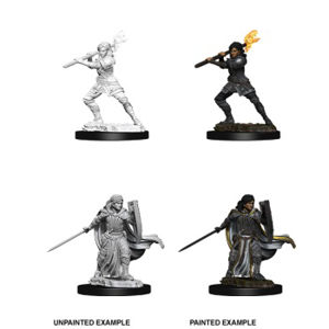 Immagine di D&D Nolzur's Marvelous Miniatures - Female Human Paladin