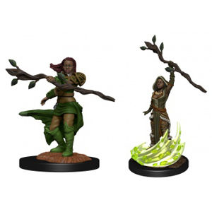 Immagine di D&D Nolzur's Marvelous Miniatures: Human Druid Female (2 Units)