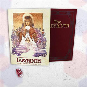 Immagine di LABYRINTH, IL GIOCO D'AVVENTURA