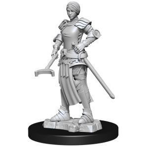 Immagine di WizKids Deep Cuts Unpainted Miniatures - Towns People: Castle II