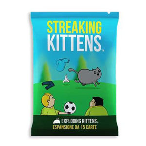 Immagine di STREAKING KITTENS